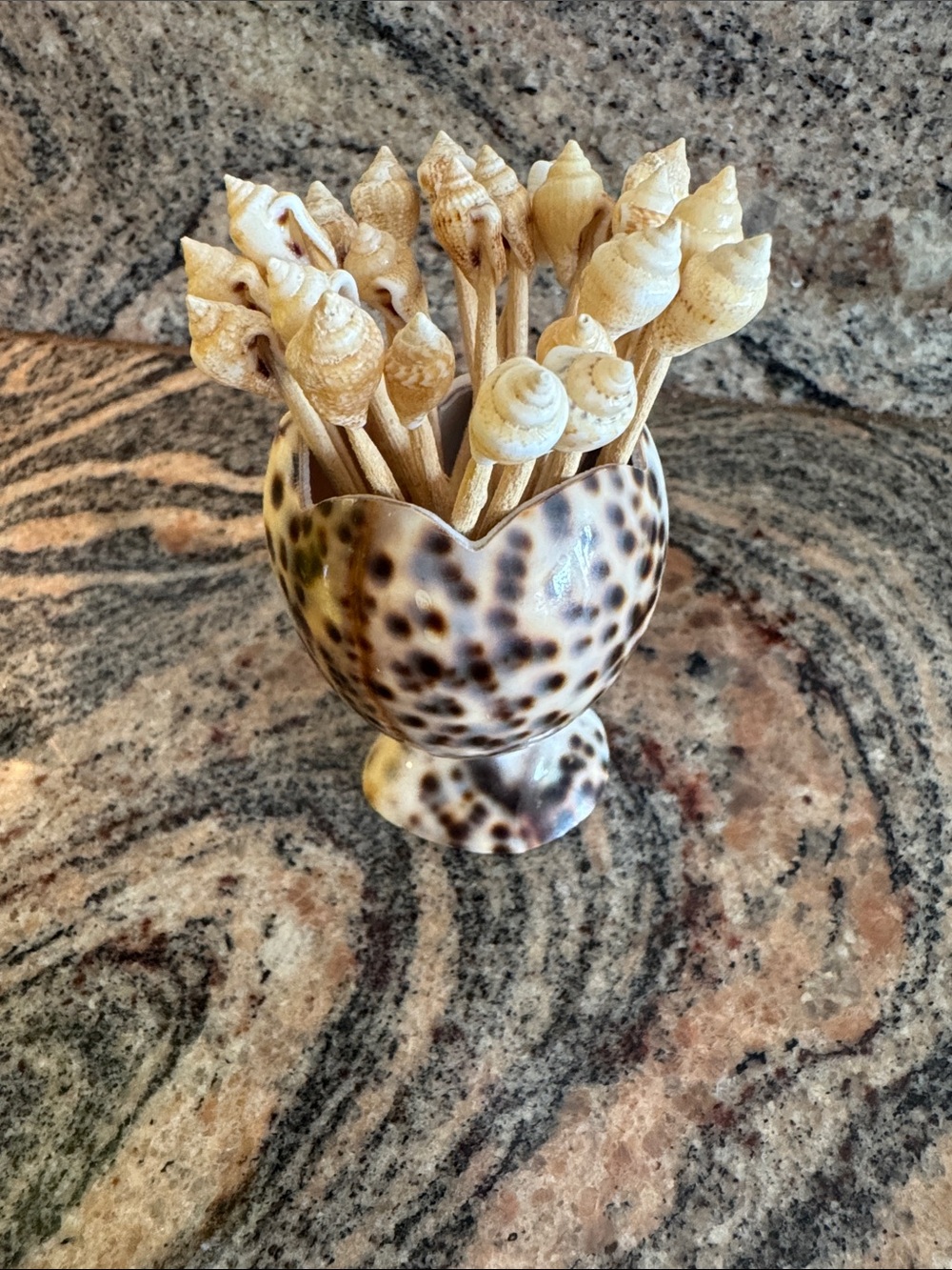 Seashell hors d’oeuvres pick holder w/tooth picks